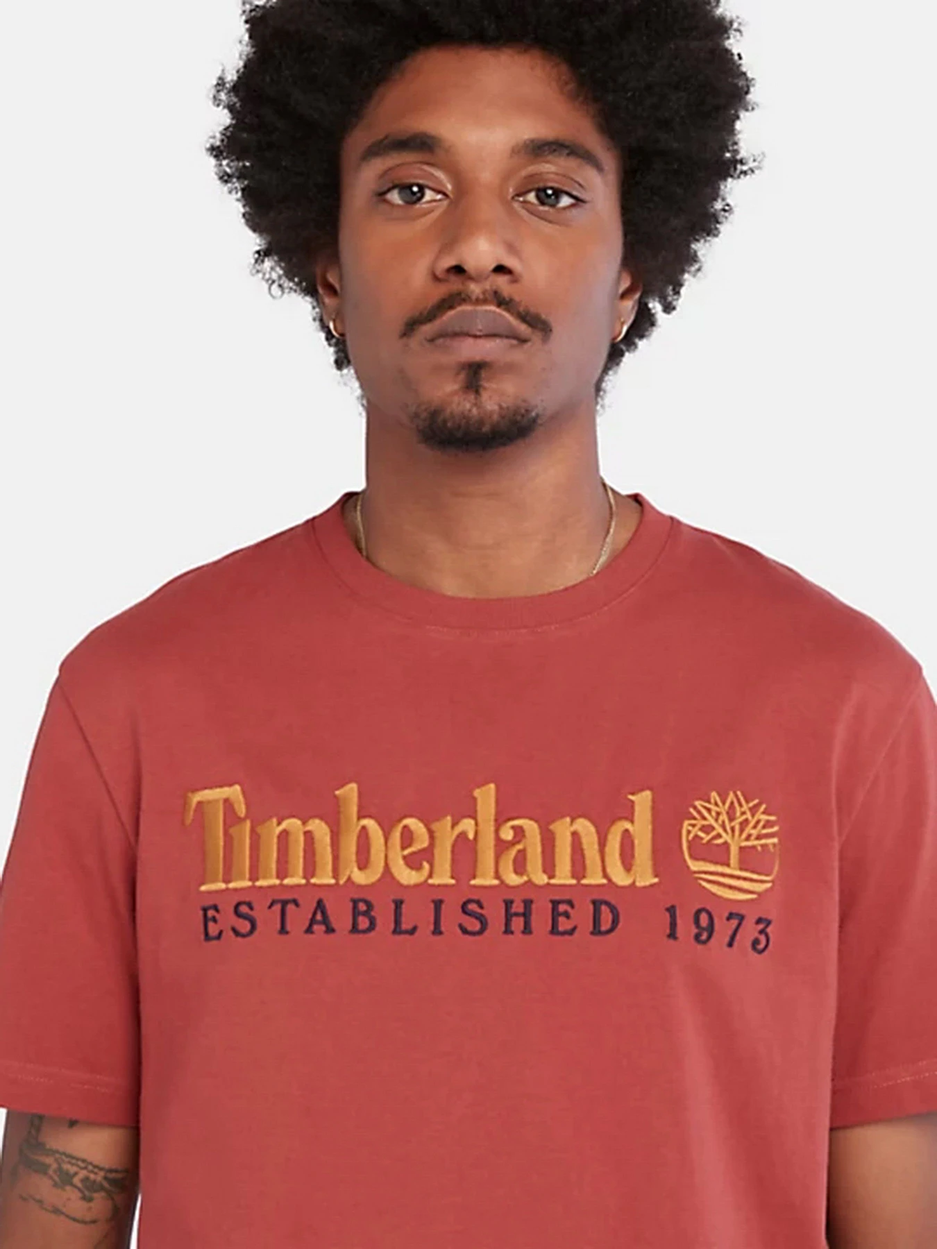 Футболки и поло Timberland модель TB0A2CMADH9 Футболки и поло Timberland модель TB0A2CMADH9 Фото