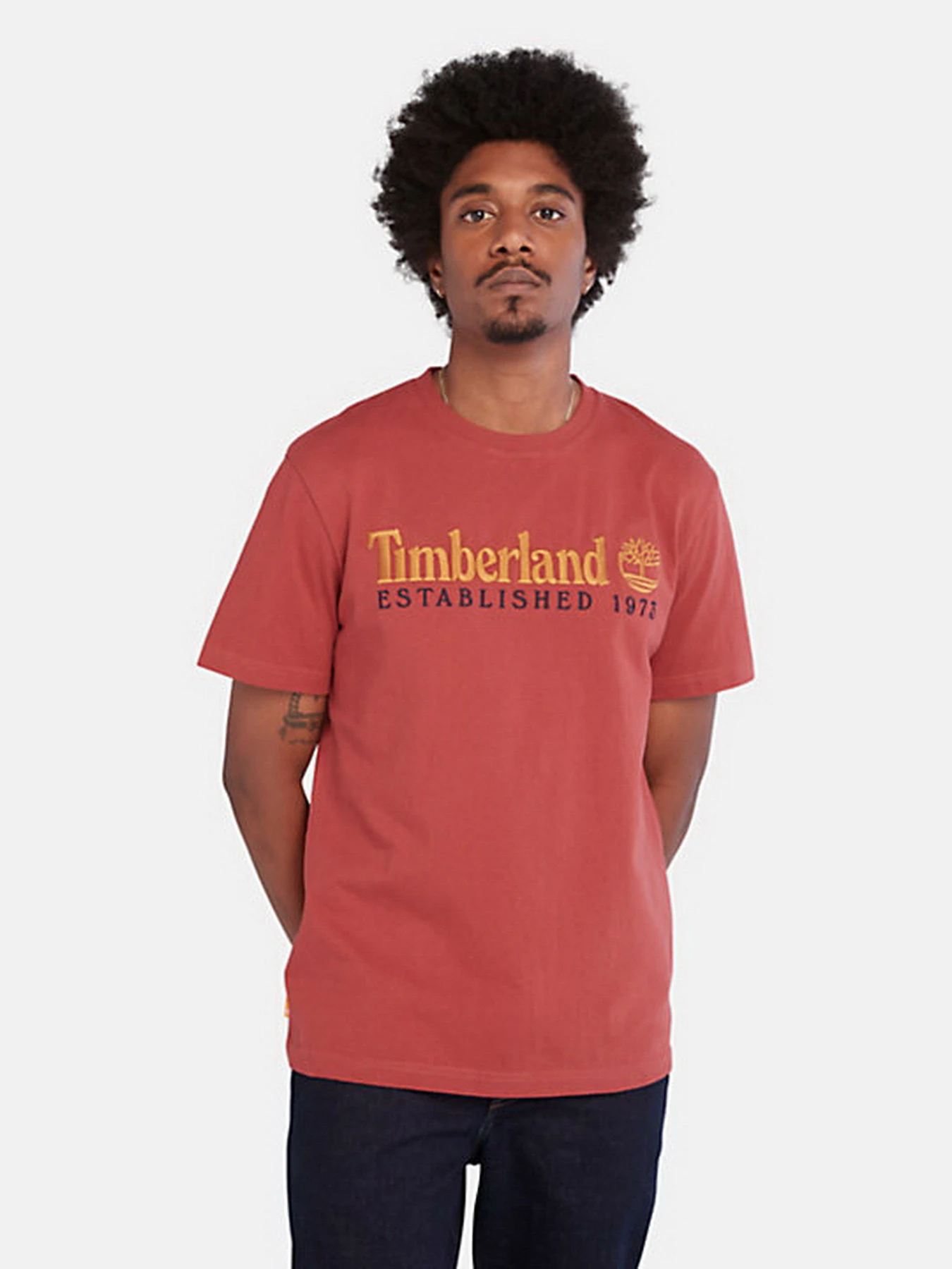 Футболки и поло Timberland модель TB0A2CMADH9 Футболки и поло Timberland модель TB0A2CMADH9 Фото