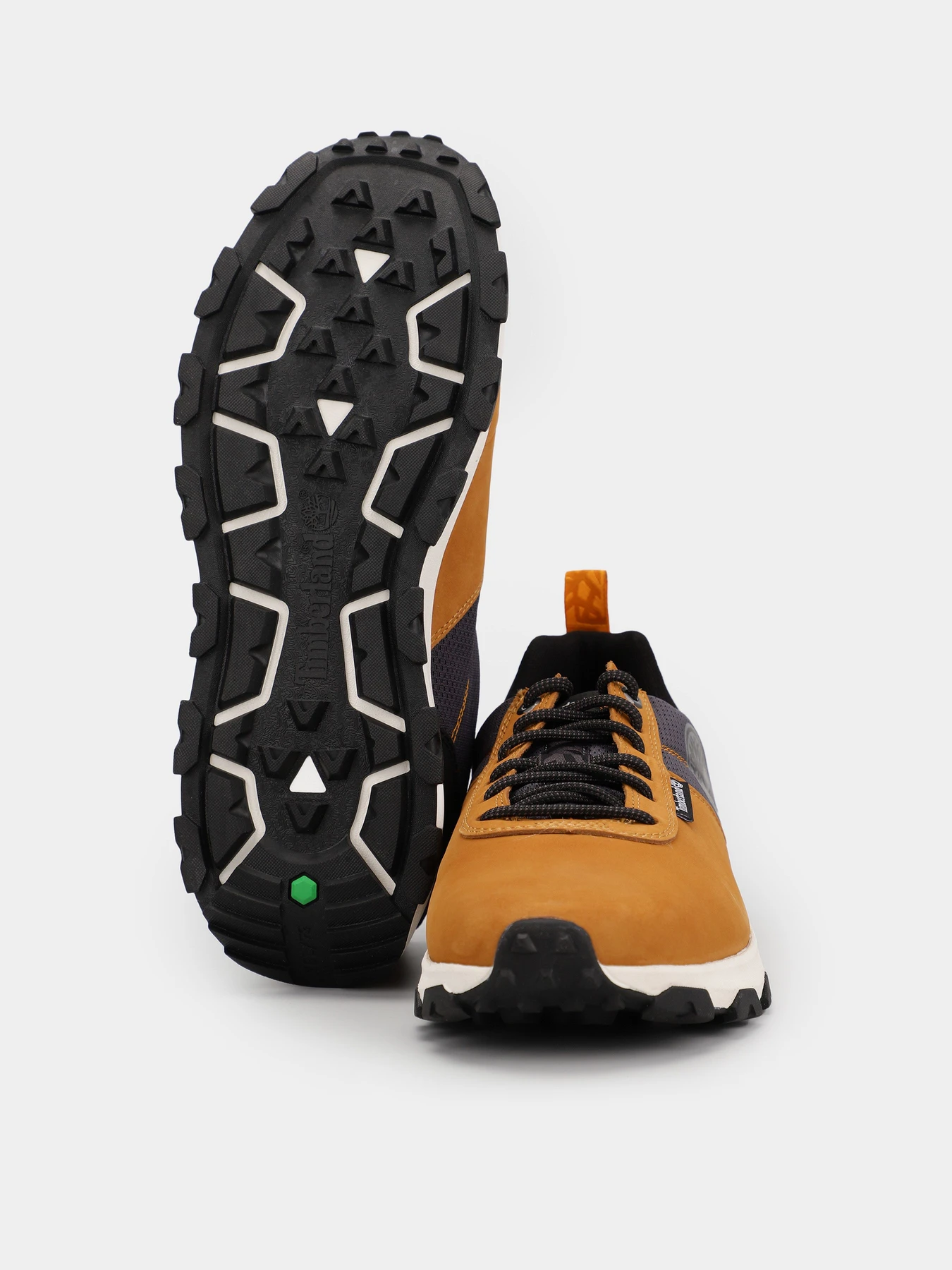 Кроссовки Timberland модель TB0A5TRV231 Кроссовки Timberland модель TB0A5TRV231 Фото