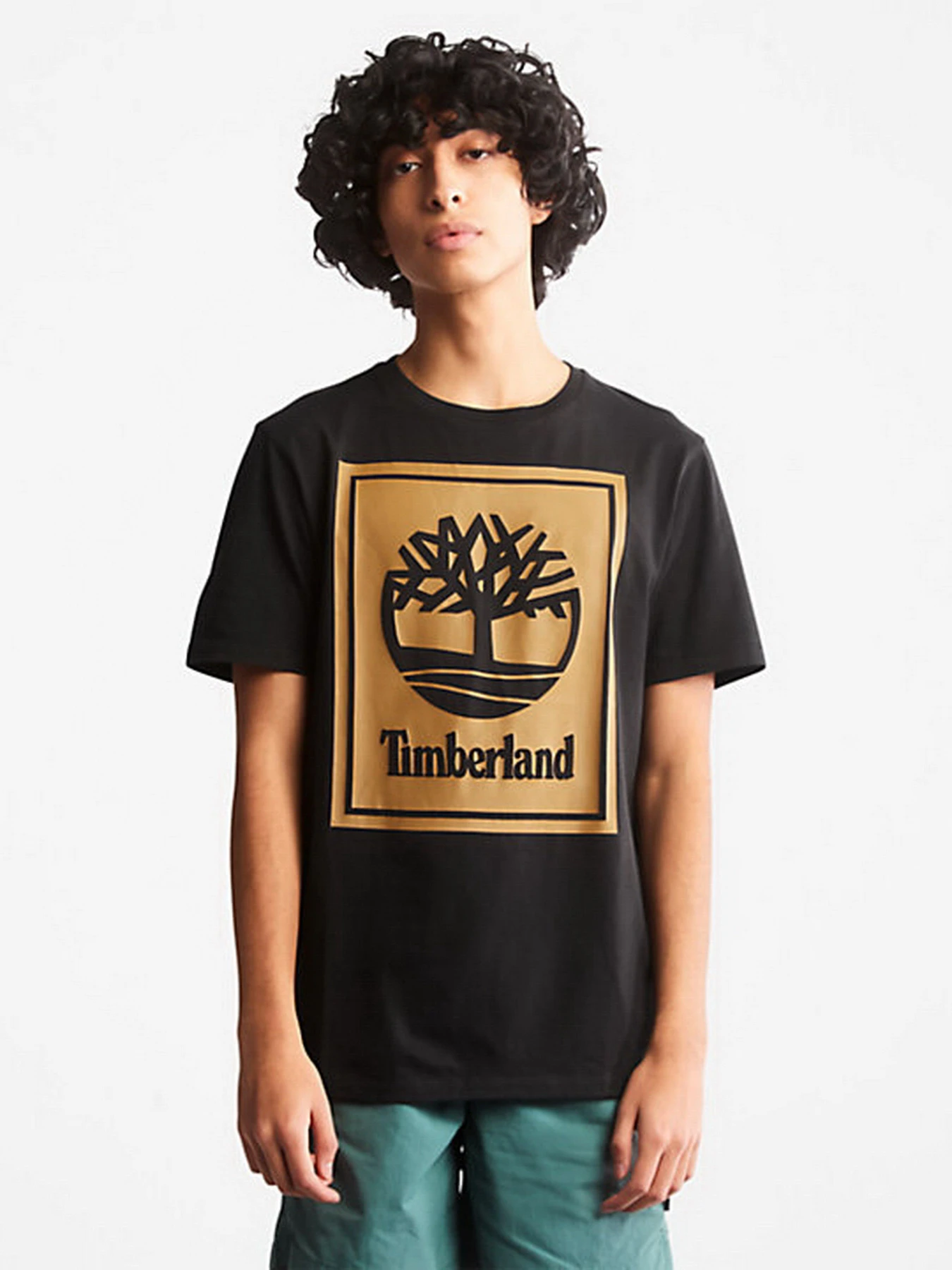 Футболки и поло Timberland модель A6CBTP56 Футболки и поло Timberland модель A6CBTP56 Фото