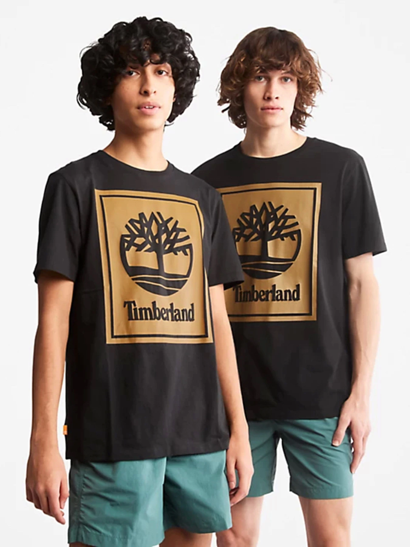 Футболки и поло Timberland модель A6CBTP56 Футболки и поло Timberland модель A6CBTP56 Фото