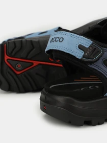 Сандалии ECCO модель 06956456923 Фото