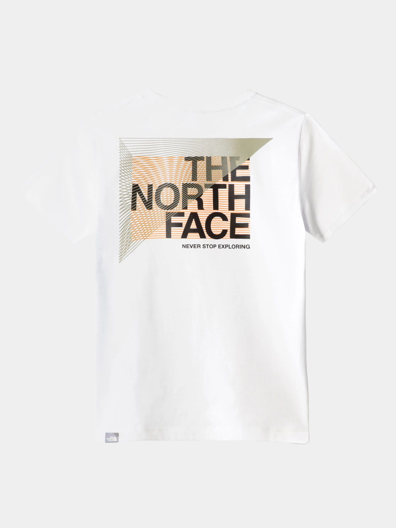 Футболки и поло The North Face модель NF0A7X5BFN41 Футболки и поло The North Face модель NF0A7X5BFN41 Фото