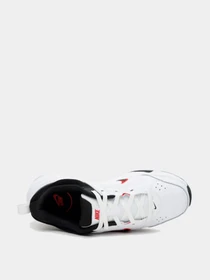 Кроссовки NIKE модель DJ1196-101 Фото