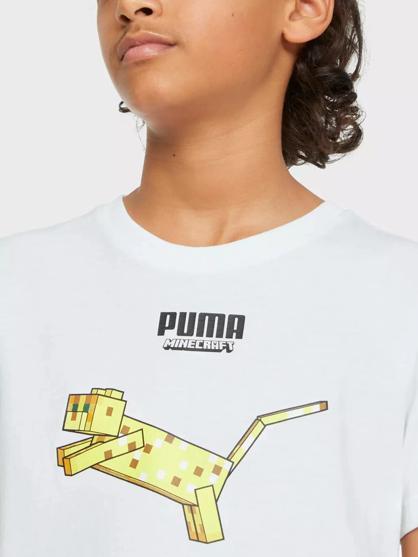 Футболки и поло PUMA модель 53343502 Футболки и поло PUMA модель 53343502 Фото