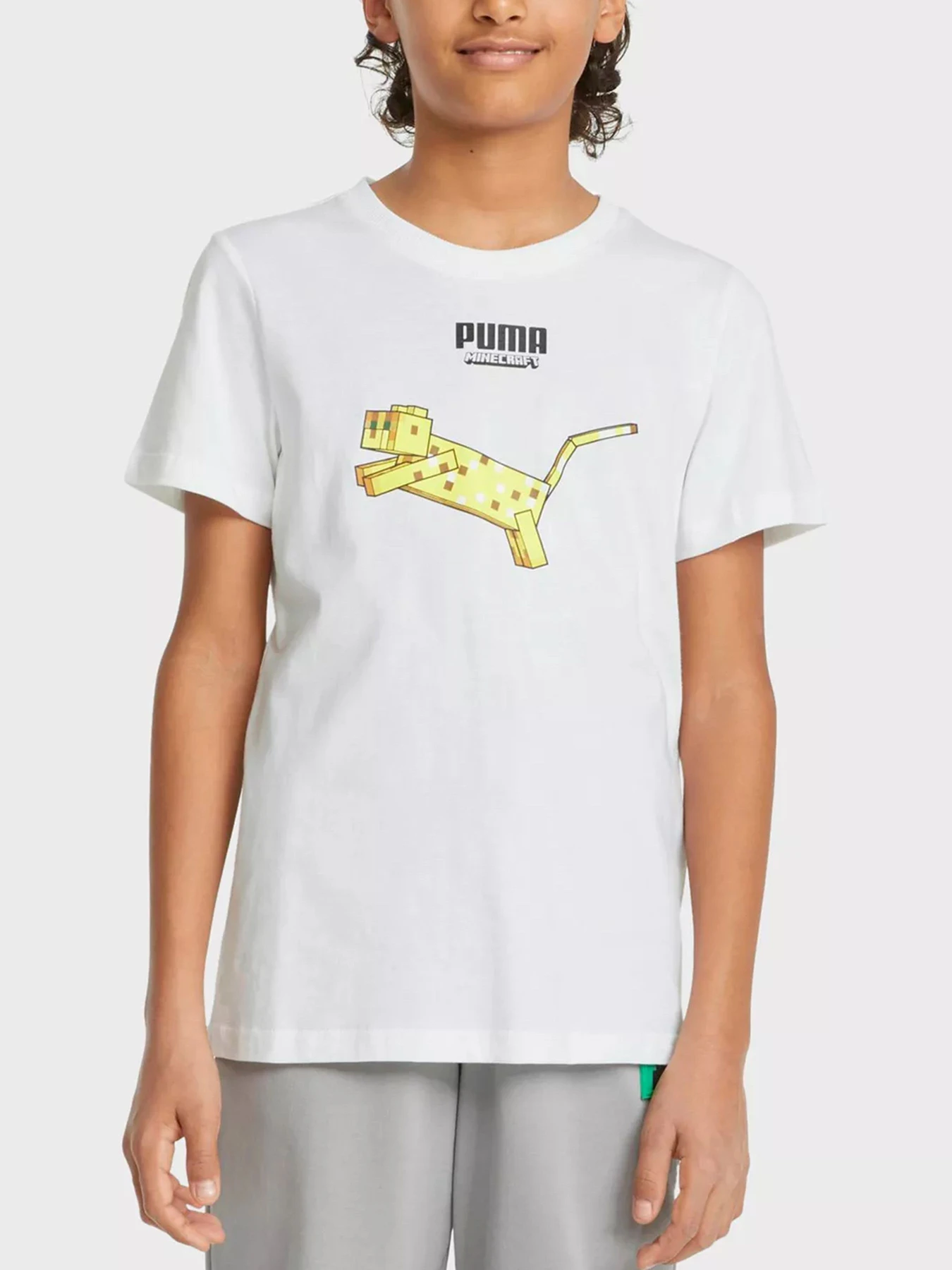 Футболки и поло PUMA модель 53343502 Футболки и поло PUMA модель 53343502 Фото