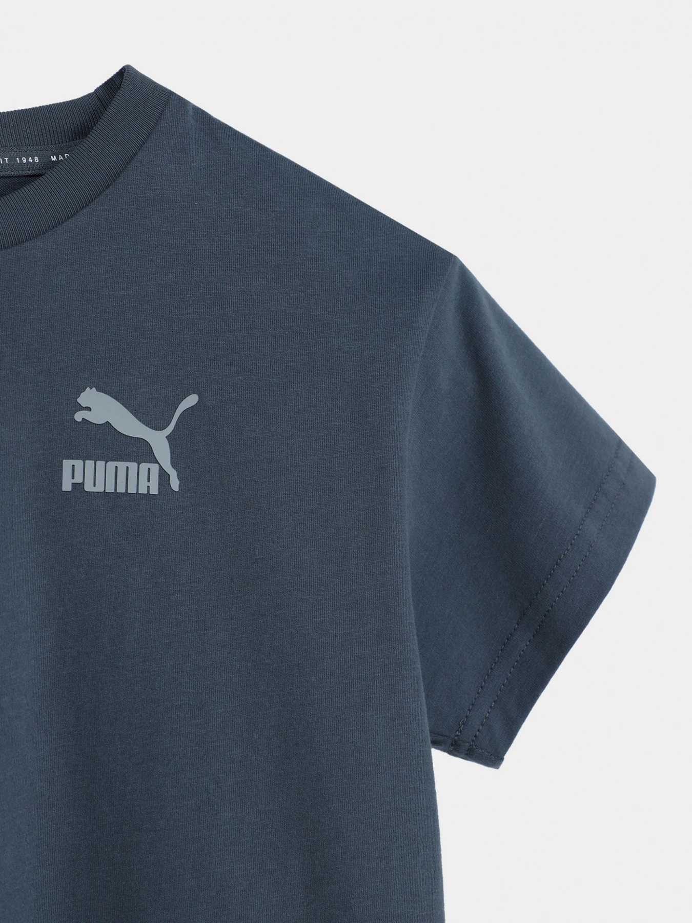 Футболки и поло PUMA модель 53388142 Футболки и поло PUMA модель 53388142 Фото