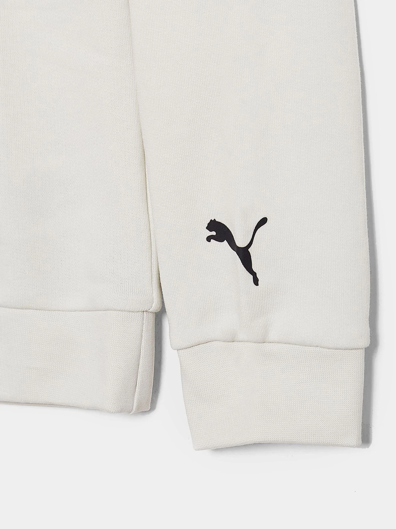 Худи и свитшоты PUMA модель 58334905 Худи и свитшоты PUMA модель 58334905 Фото