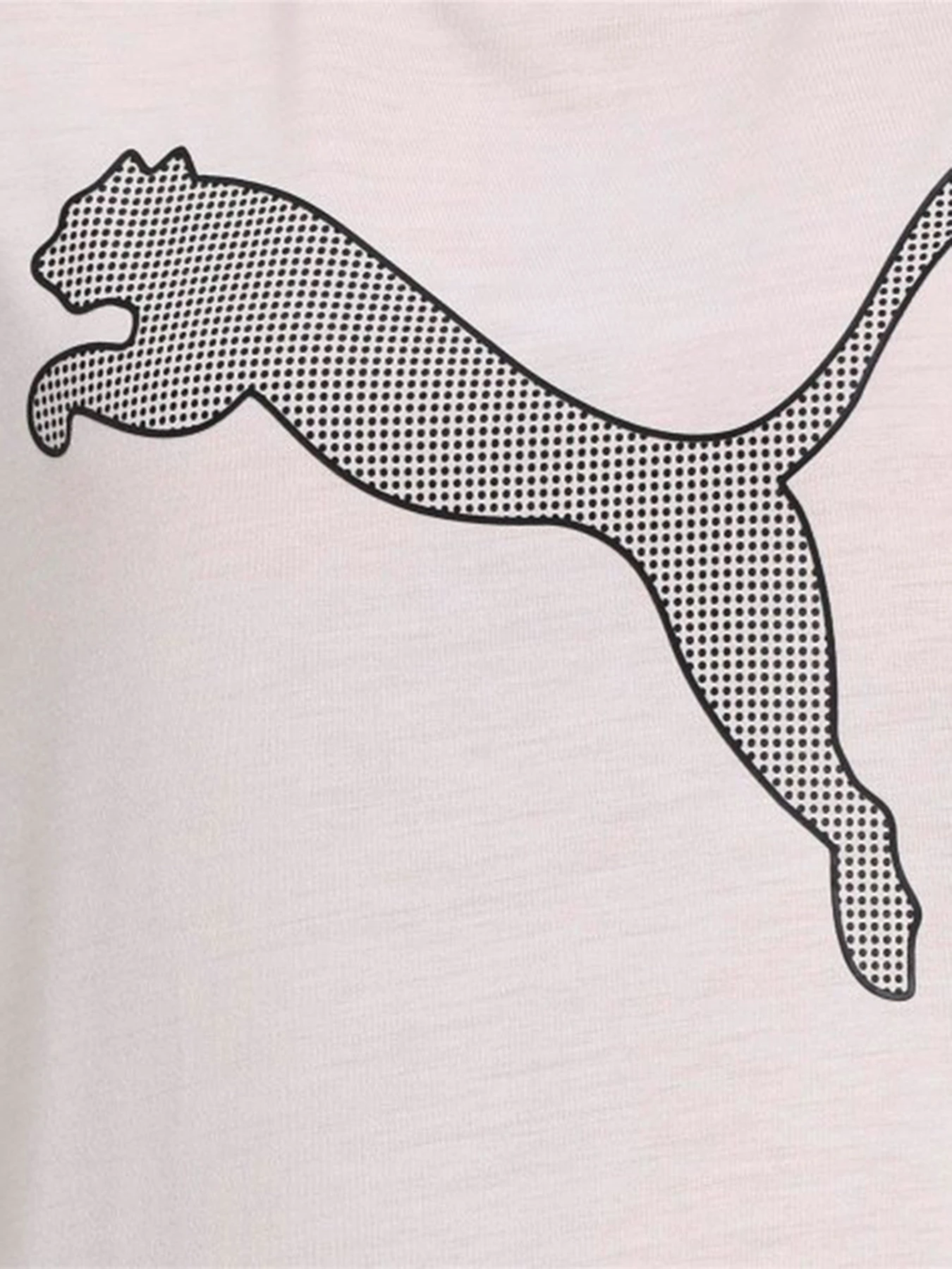 Футболки и поло PUMA модель 58352905 Футболки и поло PUMA модель 58352905 Фото