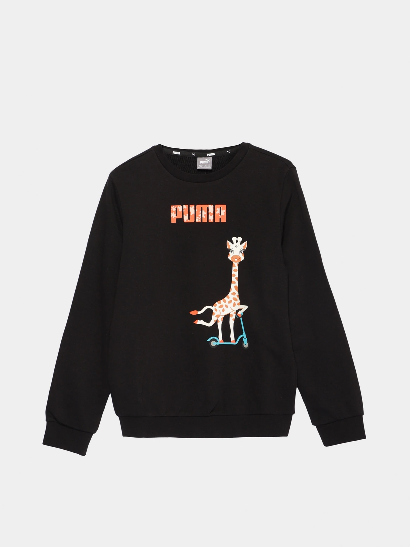 Худи и свитшоты PUMA модель 58622201 Фото
