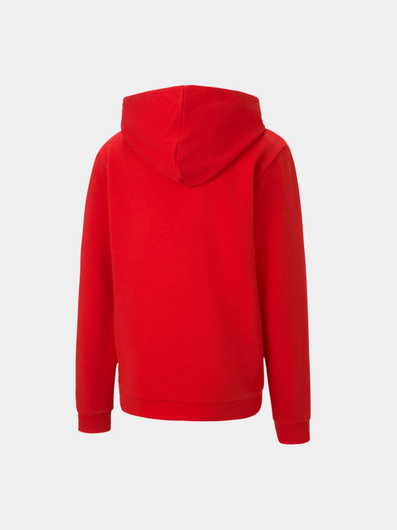 Худи и свитшоты PUMA модель 65671101 Худи и свитшоты PUMA модель 65671101 Фото