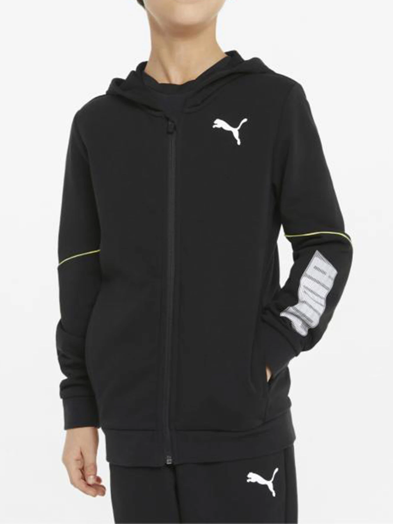Худи и свитшоты PUMA модель 84699701 Худи и свитшоты PUMA модель 84699701 Фото