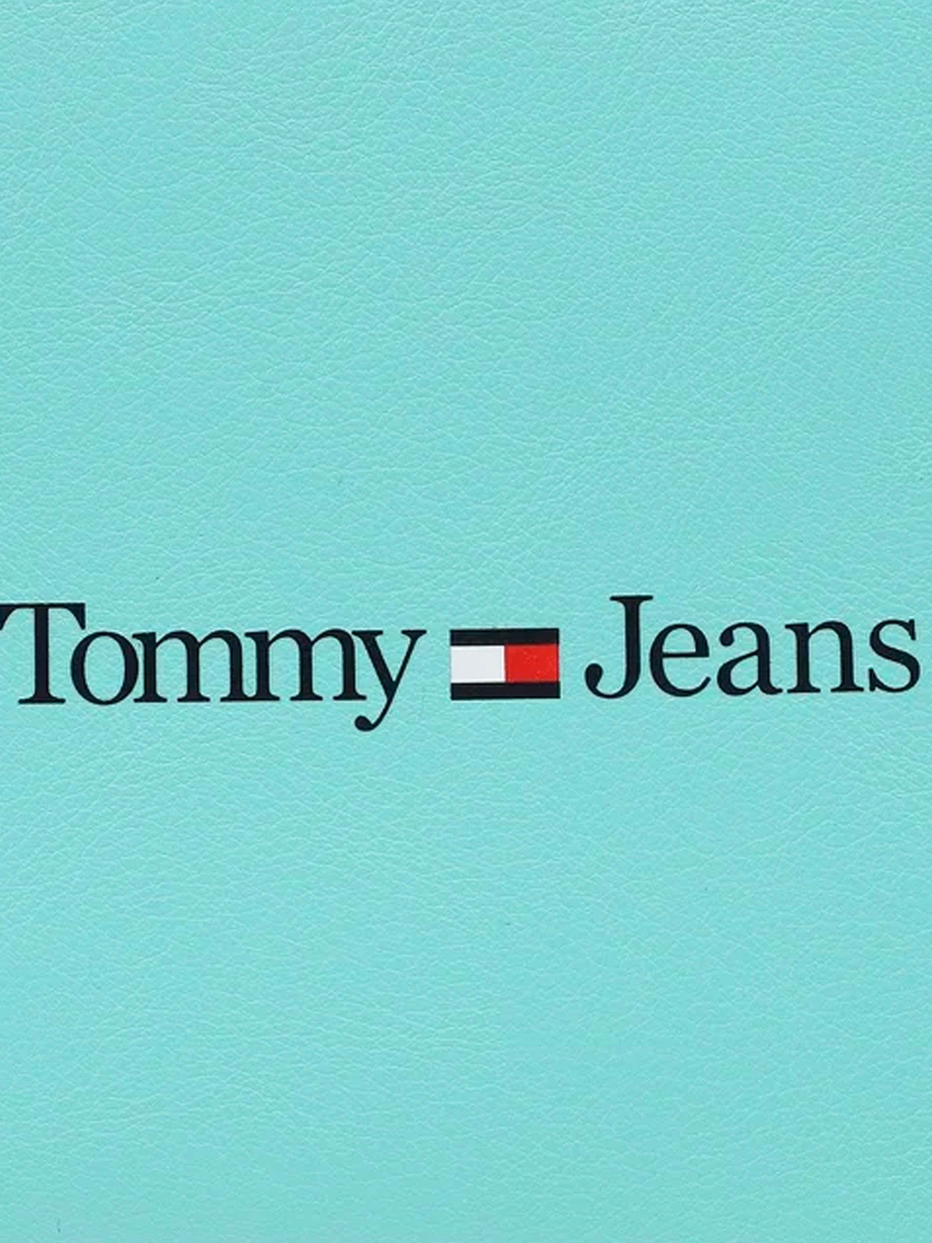 Сумки Tommy Hilfiger модель AW0AW14120-L67 Фото