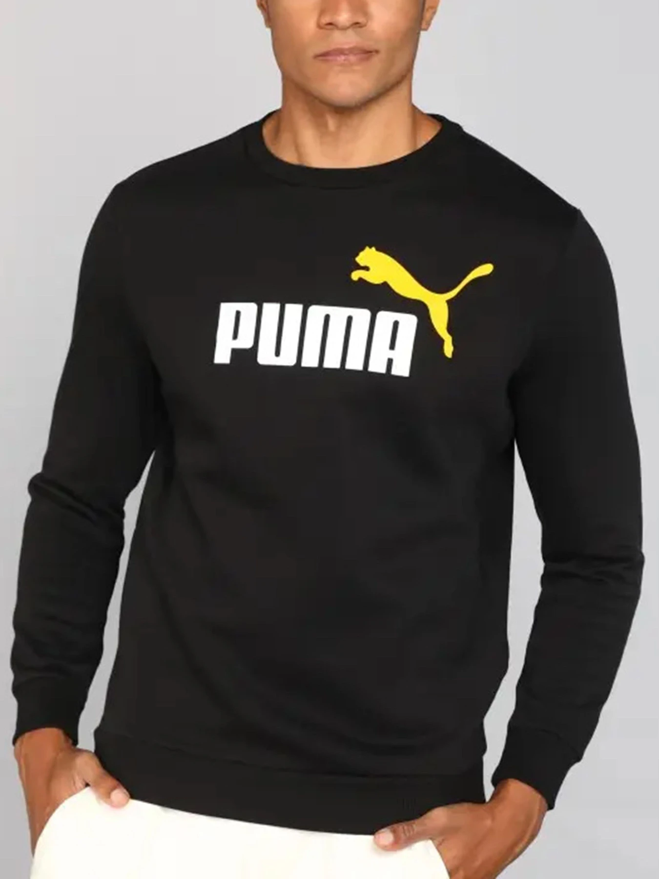 Худи и свитшоты PUMA модель 58676254 Худи и свитшоты PUMA модель 58676254 Фото
