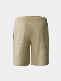 Шорты The North Face модель NF0A3S4F3X41 Фото