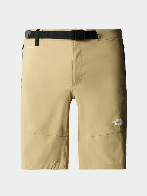 Шорты The North Face модель NF0A495OLK51 Фото