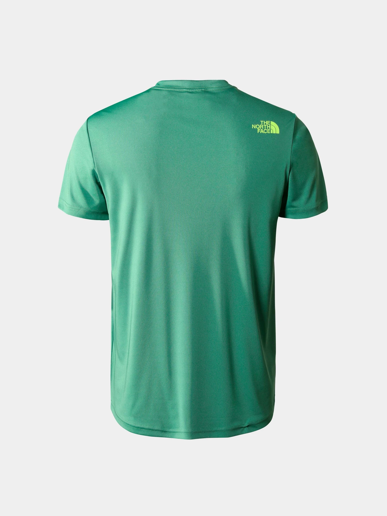 Футболки и поло The North Face модель NF0A4CDVN111 Футболки и поло The North Face модель NF0A4CDVN111 Фото