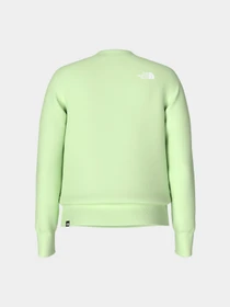 Худи и свитшоты The North Face модель NF0A4M7EN131 Фото