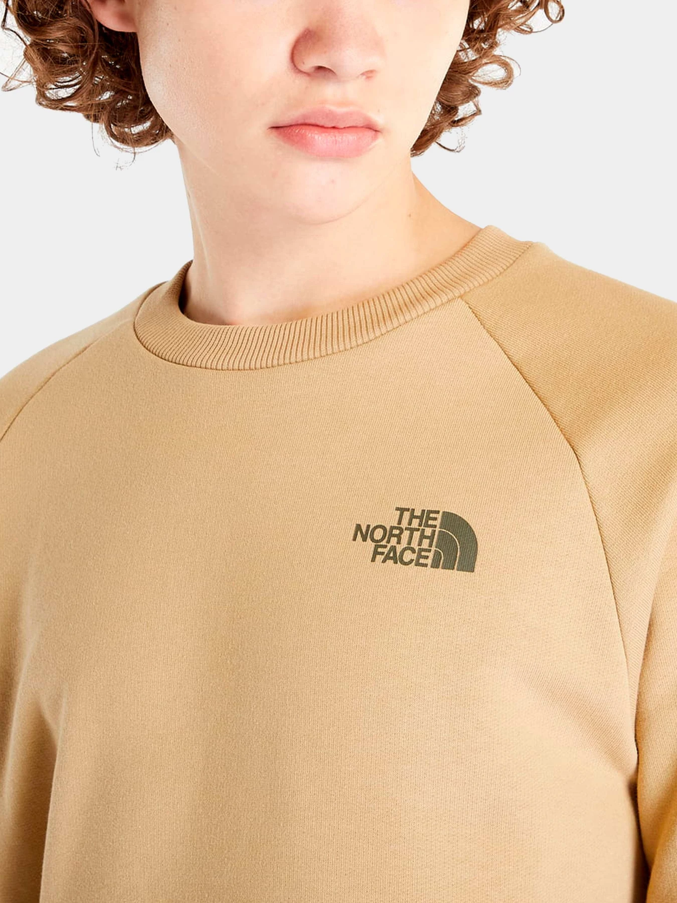 Худи и свитшоты The North Face модель NF0A4SZ9LK51 Фото
