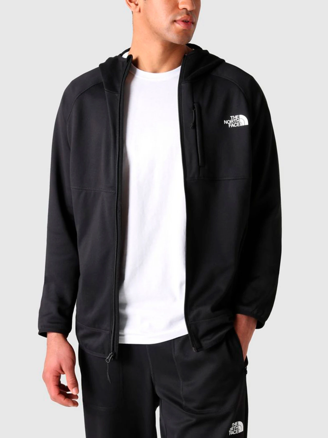 Худи и свитшоты The North Face модель NF0A5G9UJK31 Худи и свитшоты The North Face модель NF0A5G9UJK31 Фото
