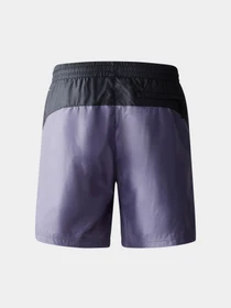 Шорты The North Face модель NF0A5J4JN141 Фото