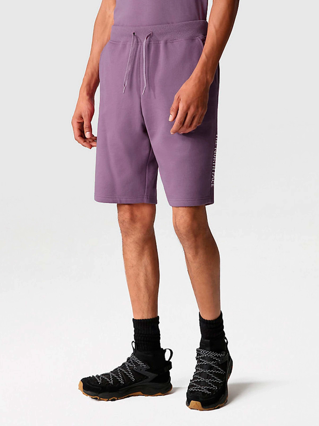Шорты The North Face модель NF0A7SXFN141 Шорты The North Face модель NF0A7SXFN141 Фото
