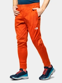 Брюки The North Face модель NF0A7UJMN891 Фото