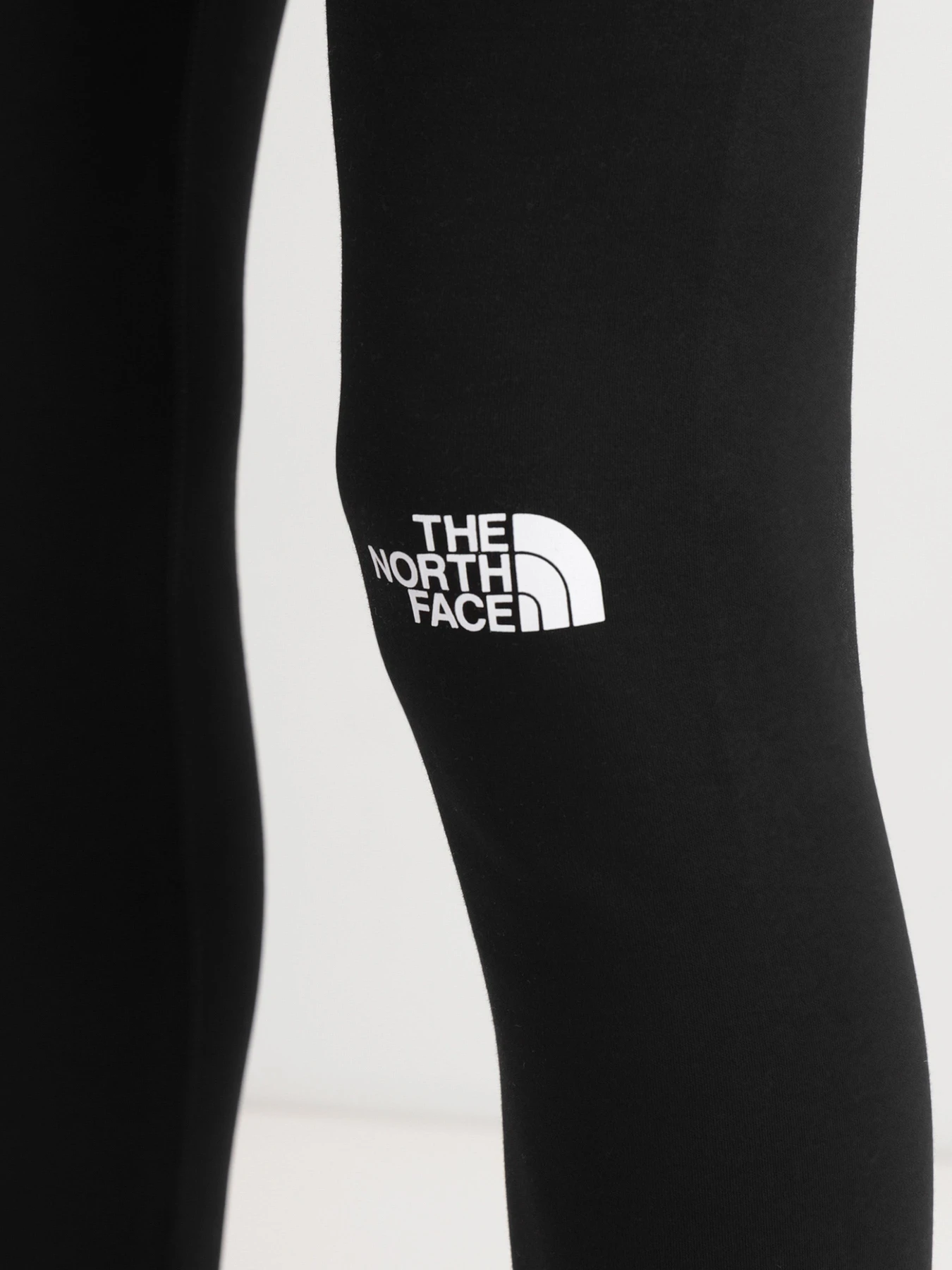 Брюки The North Face модель NF0A7ZGIJK31 Фото