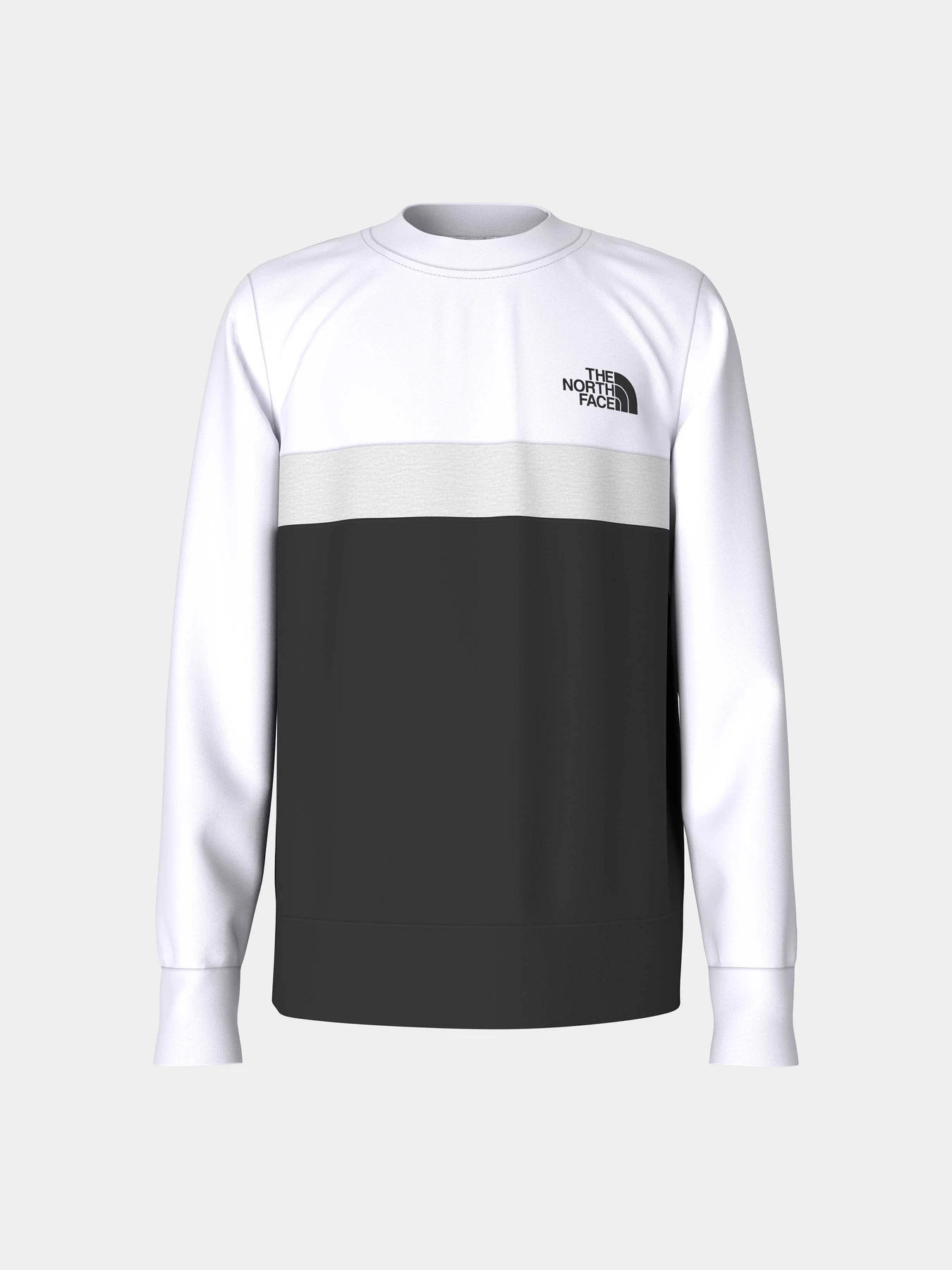 Худи и свитшоты The North Face модель NF0A82DOLA91 Фото