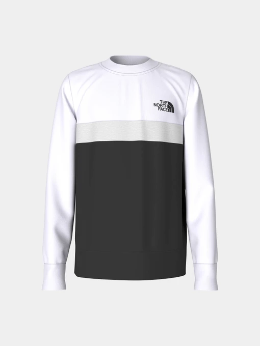 Худи и свитшоты The North Face модель NF0A82DOLA91 Фото
