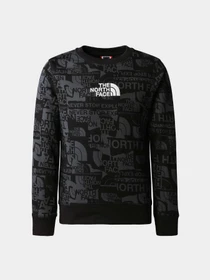 Худи и свитшоты The North Face модель NF0A82EHIW41 Фото