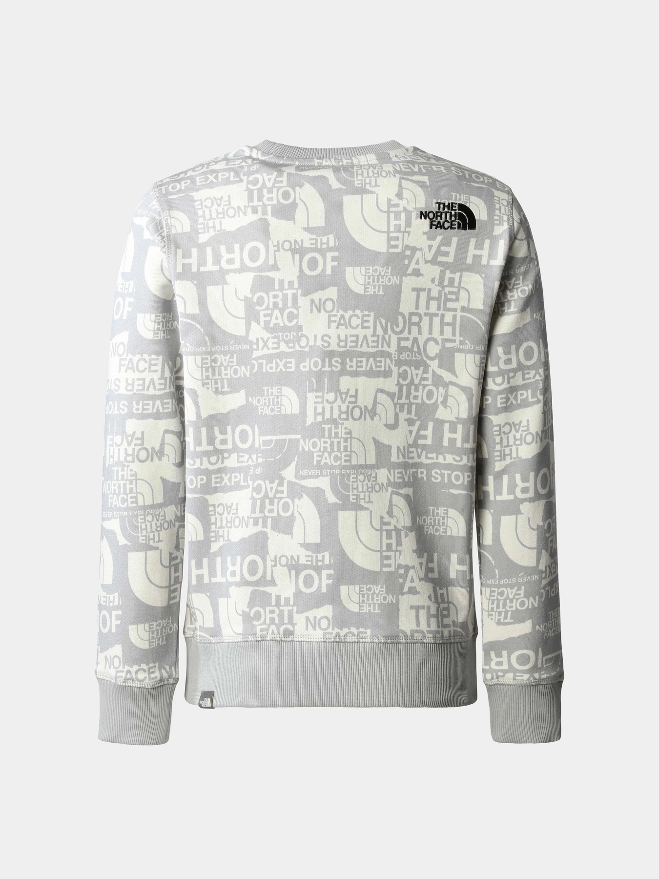 Худи и свитшоты The North Face модель NF0A82EHIWD1 Фото