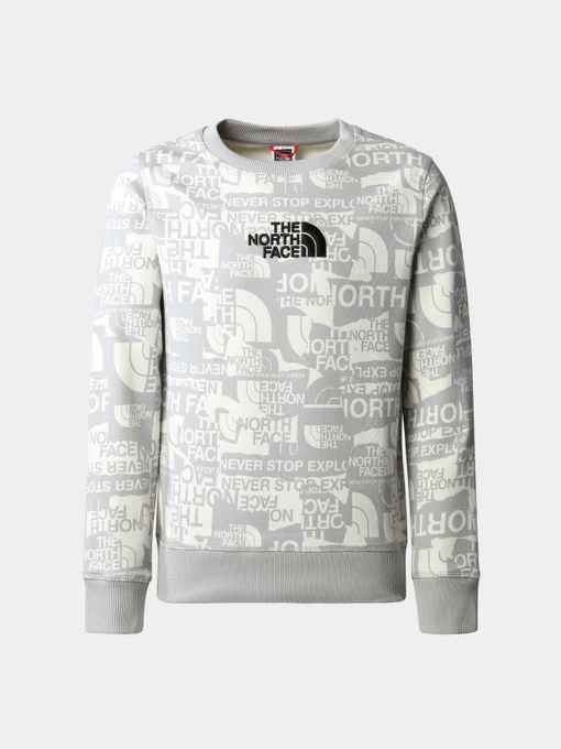 Худи и свитшоты The North Face модель NF0A82EHIWD1 Фото