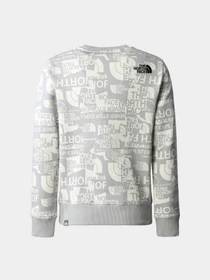 Худи и свитшоты The North Face модель NF0A82EHIWD1 Фото