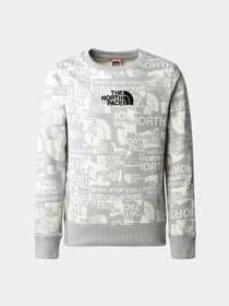 Худи и свитшоты The North Face модель NF0A82EHIWD1 Фото