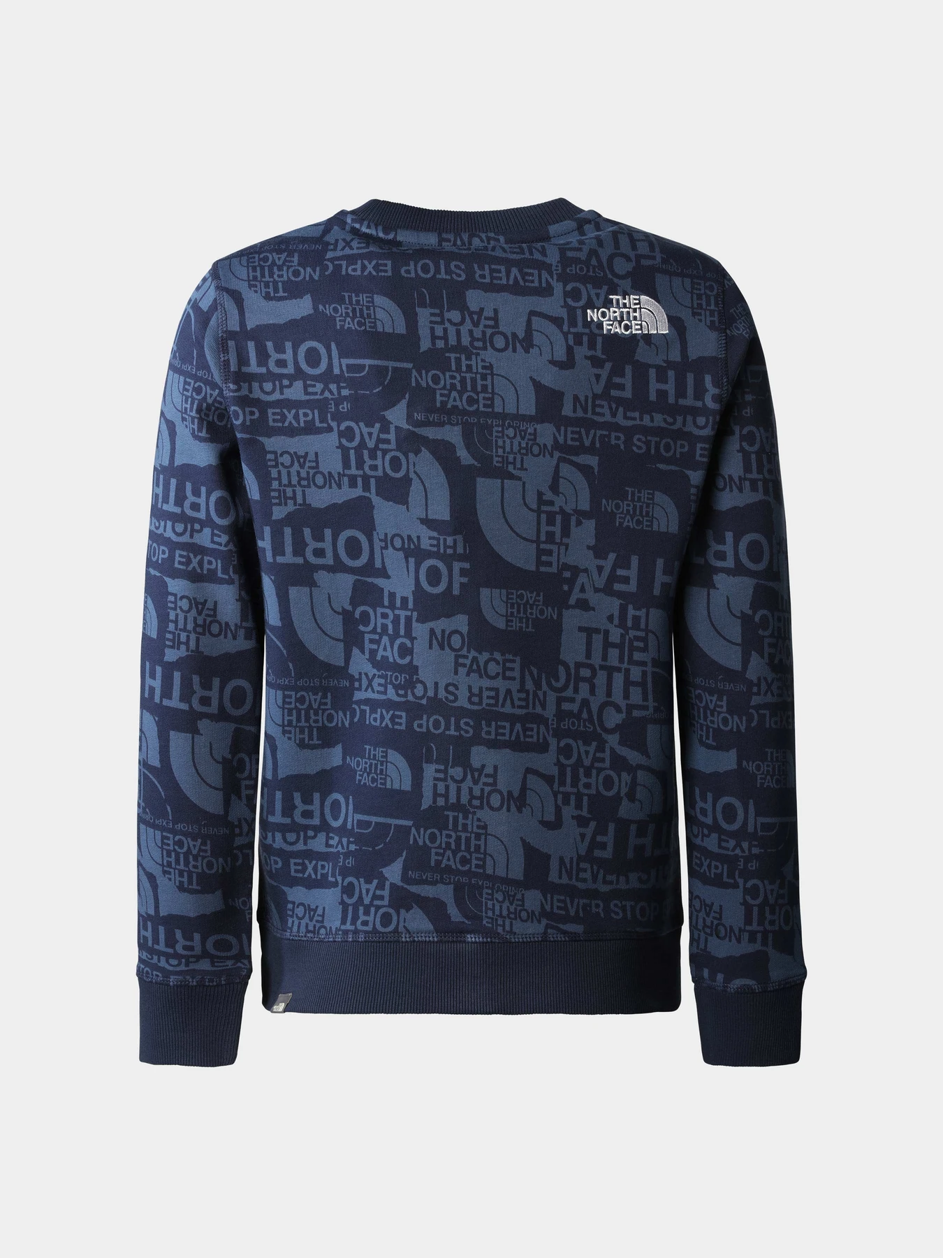 Худи и свитшоты The North Face модель NF0A82EHIWU1 Фото