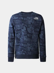 Худи и свитшоты The North Face модель NF0A82EHIWU1 Фото
