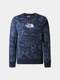 Худи и свитшоты The North Face модель NF0A82EHIWU1 Фото