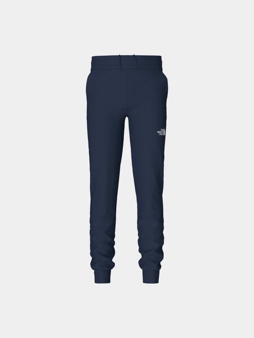 Брюки The North Face модель NF0A82EI8K21 Фото