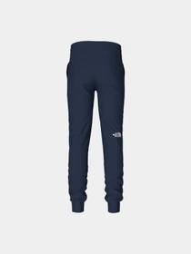 Брюки The North Face модель NF0A82EI8K21 Фото