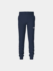 Брюки The North Face модель NF0A82EI8K21 Фото