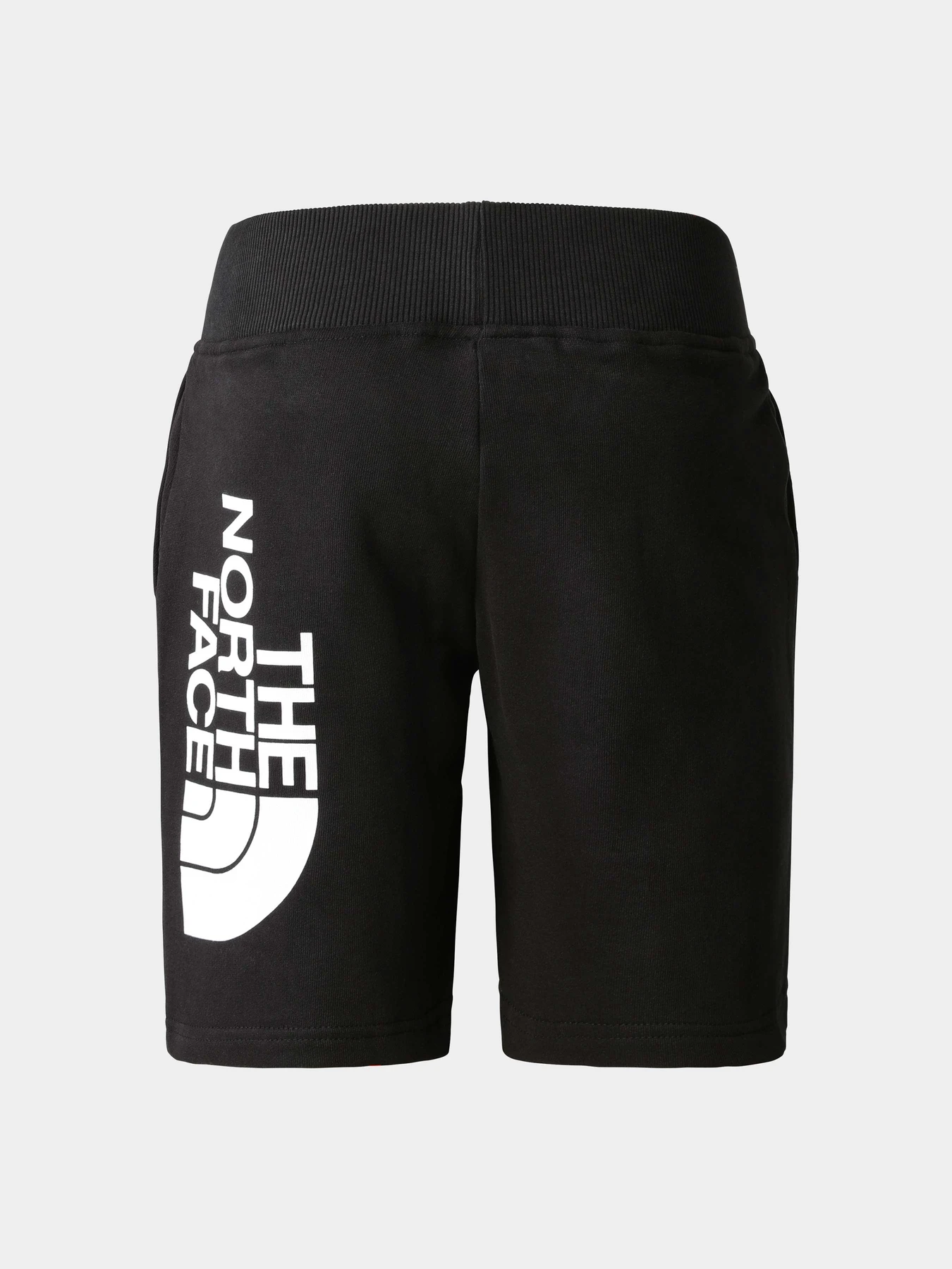 Шорты The North Face модель NF0A82ELJK31 Шорты The North Face модель NF0A82ELJK31 Фото