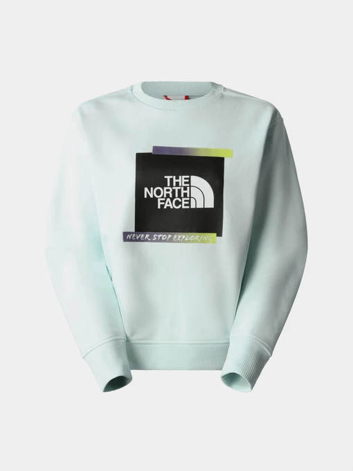 Худи и свитшоты The North Face модель NF0A83FILV51 Фото