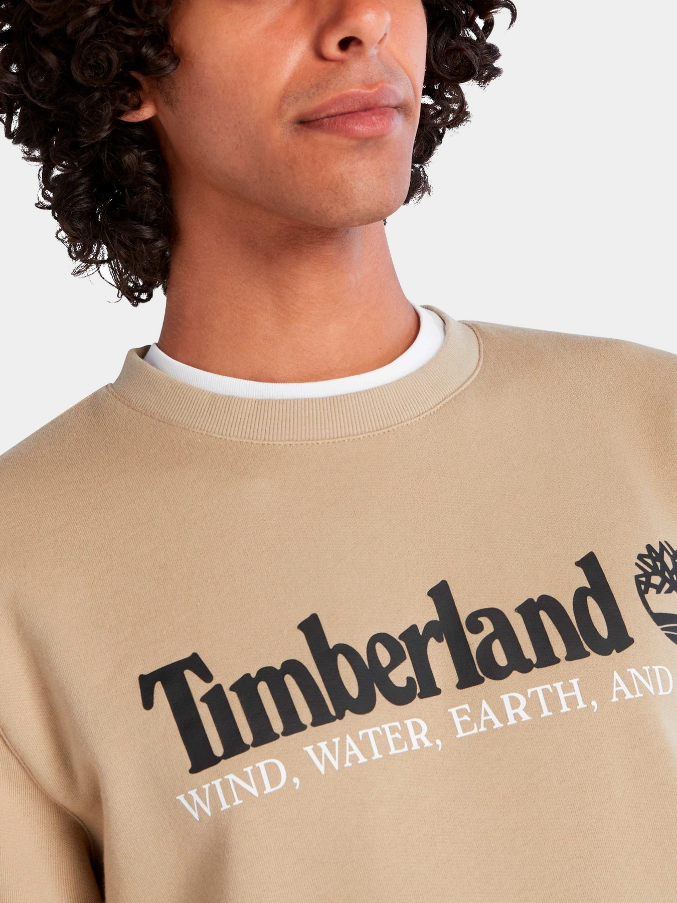 Худи и свитшоты Timberland модель TB0A27HCDH4 Худи и свитшоты Timberland модель TB0A27HCDH4 Фото