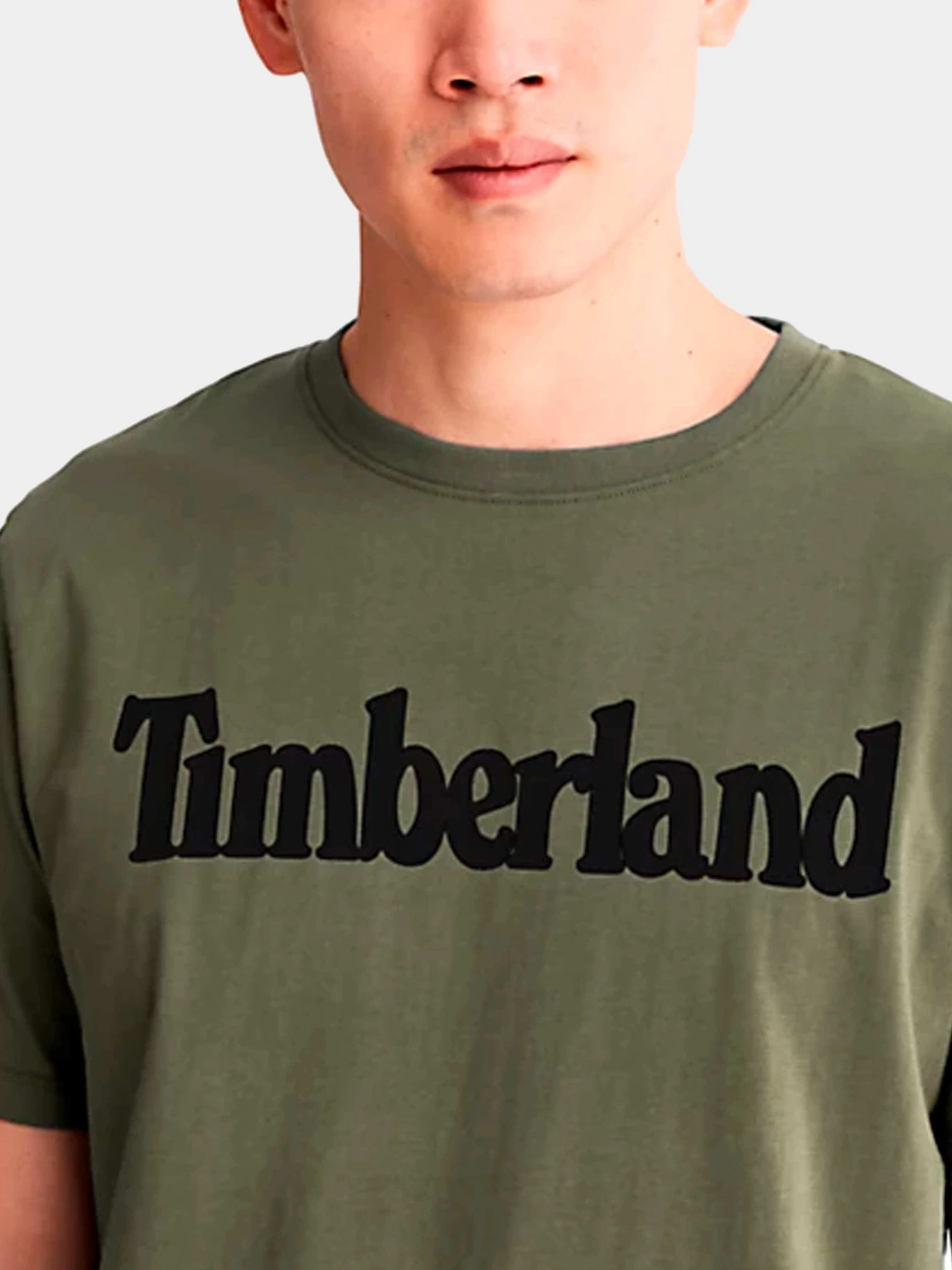 Футболки и поло Timberland модель TB0A2BRN590 Футболки и поло Timberland модель TB0A2BRN590 Фото