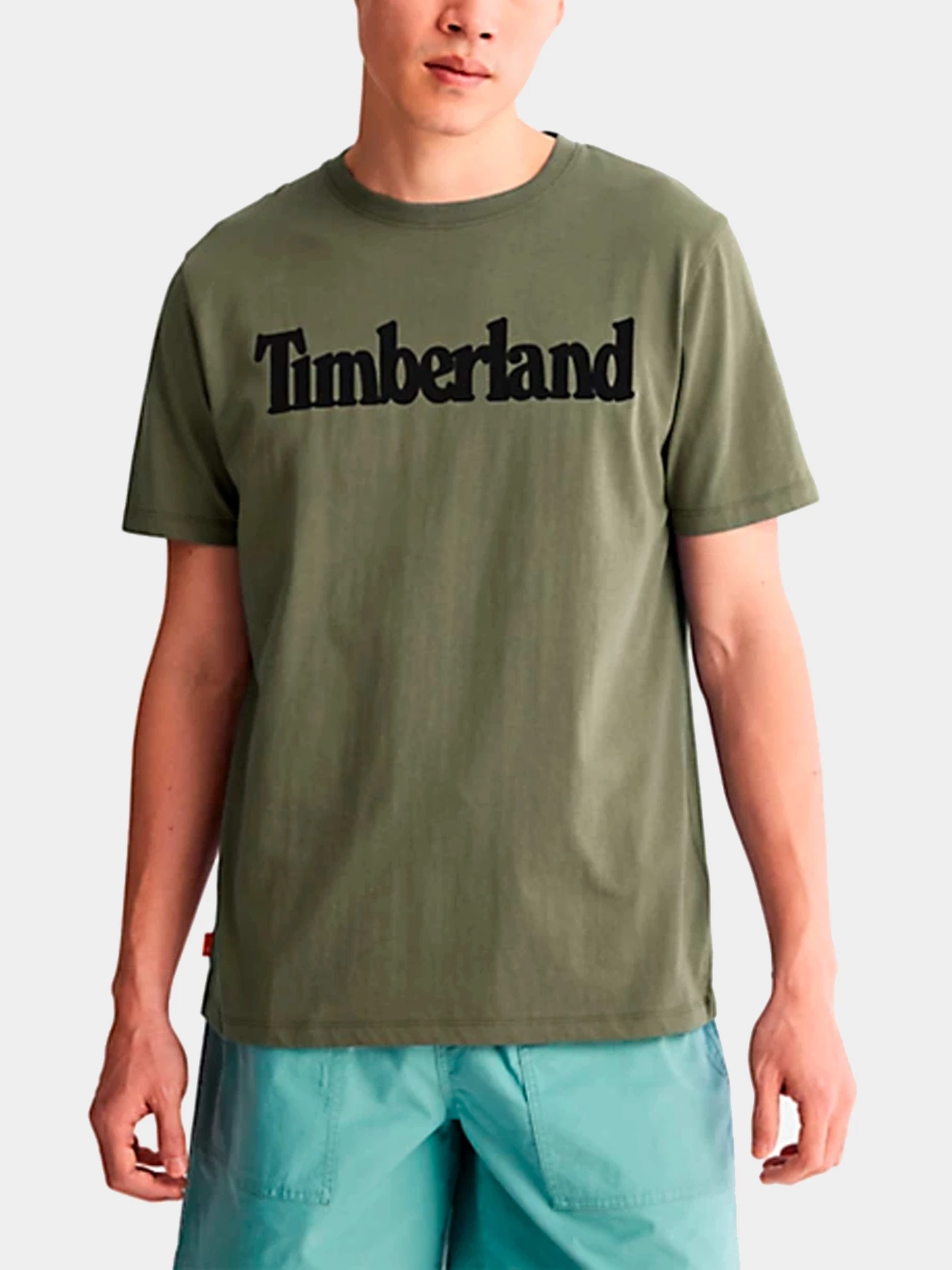 Футболки и поло Timberland модель TB0A2BRN590 Футболки и поло Timberland модель TB0A2BRN590 Фото
