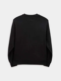 Худи и свитшоты Vans модель VN00061GBLK1 Фото