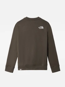 Худи и свитшоты The North Face модель NF0A7R1G21L1 Фото