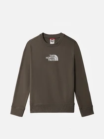 Худи и свитшоты The North Face модель NF0A7R1G21L1 Фото