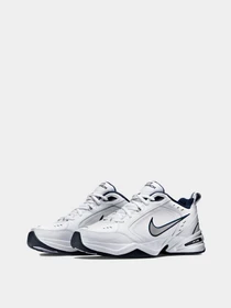 Кроссовки NIKE модель 415445-102 Фото